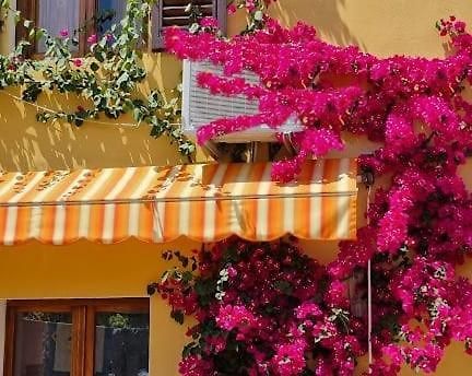 Appartamento In The Heart Of Tuscany Monsummano Terme Luaran gambar