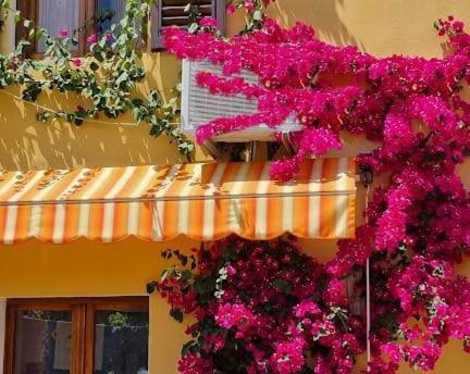 Appartamento In The Heart Of Tuscany Monsummano Terme Luaran gambar